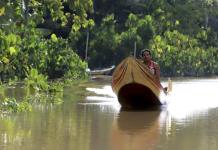 Desafíos de Contaminación y Violencia en la COP30 de Belem