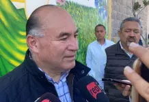 Video | "Que nos dejen sobrevivir, pide Galindo a diputados