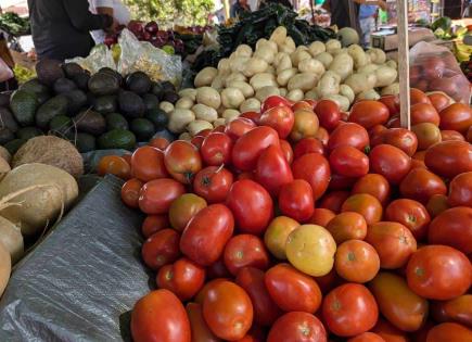 Disminuye precio de frutas y verduras en primera quincena de noviembre