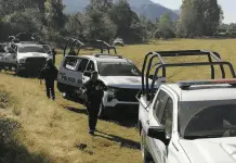 Niño de 11 Años Herido en Ataque Armado en Comunidad Indígena de Michoacán Niño de 11 Años Herido en Ataque Armado en Comunidad Indígena de Michoacán