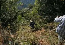 Cae a barranco camioneta con decenas de pasajeros en Tamazunchale