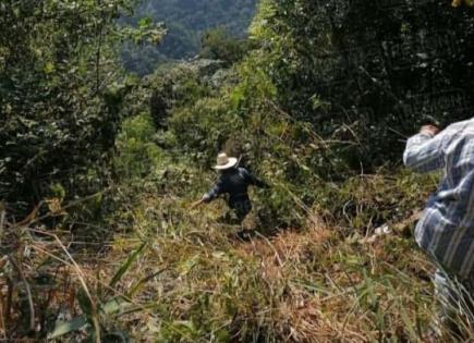 Cae a barranco camioneta con decenas de pasajeros en Tamazunchale