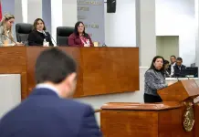 Judicializados, 8 de 10 casos de feminicidio en 2024: García Cázares