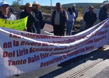 Protesta en Tula por Mosco Culex