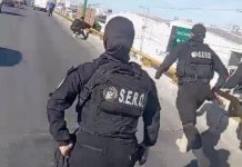 VIDEO | Agentes de Soledad evitan suicidio en la carretera a Matehuala