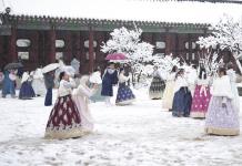 Impactante Tormenta de Nieve en Seúl y Cancelación de Vuelos