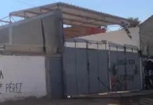 Hallan cadáver de mujer al interior de chatarrera en Cactus