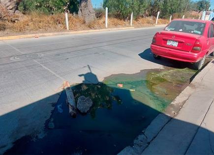 Brote de aguas negras genera insalubridad