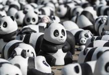 Exposición de Pandas Gigantes en Hong Kong