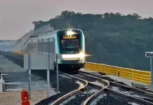 Polémica por manejo de fauna en el Tren Maya Polémica por manejo de fauna en el Tren Maya