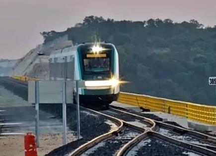 Polémica por manejo de fauna en el Tren Maya