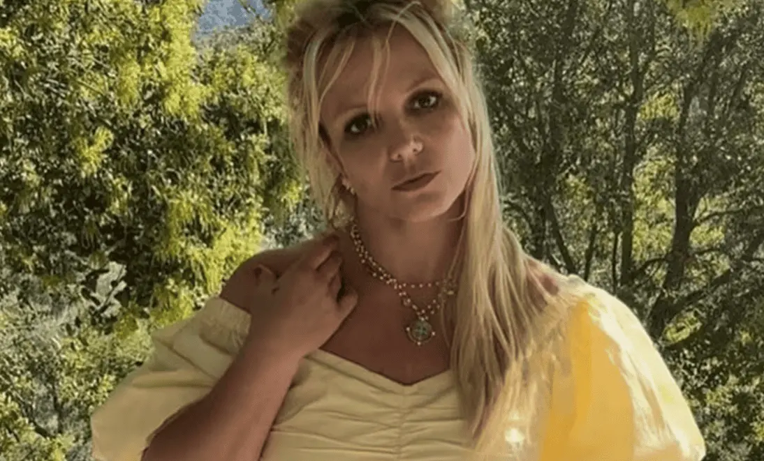 Britney Spears y sus inusuales episodios domésticos