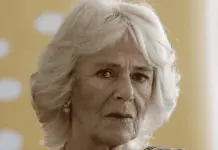 Recuperaci&oacute;n de la reina Camila y la corona brit&aacute;nica