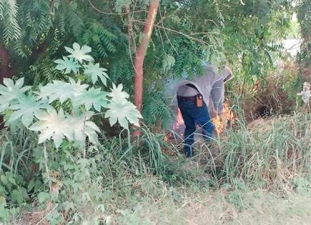 Hospitalizan a familia por ataque de abejas 