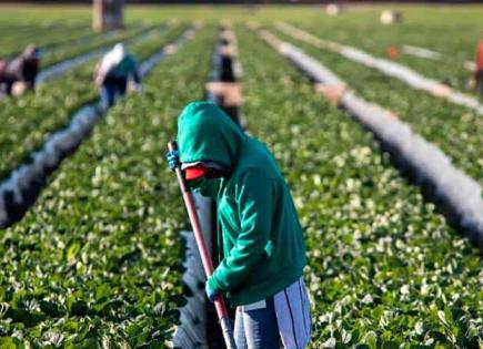 Pobreza laboral sube en el campo