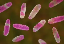 Brote de Klebsiella oxytoca en el Estado de M&eacute;xico