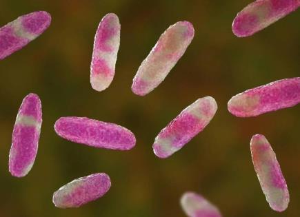 Brote de Klebsiella oxytoca en el Estado de México