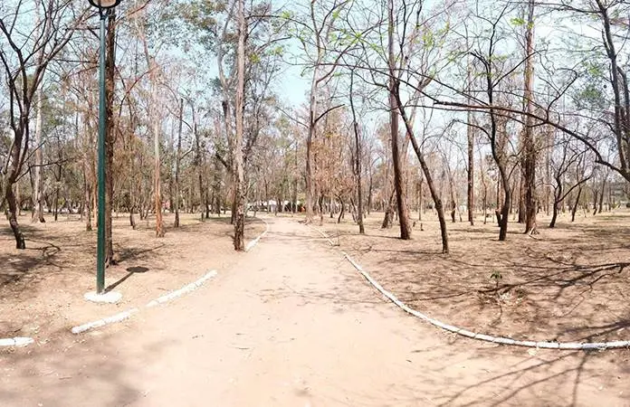 Freno legal complica obras en el parque de Morales
