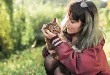 El arte de la comunicaci&oacute;n no verbal de los gatos