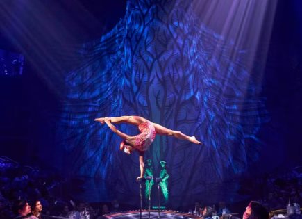 Cirque du Soleil JOYÀ: Una Experiencia Inolvidable en Riviera Maya