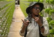 Proyecto agrícola Voiceout Deaf en Sudáfrica Proyecto agrícola Voiceout Deaf en Sudáfrica