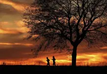 2024 apunta a convertirse en el año más caliente del que se tenga registro 2024 apunta a convertirse en el año más caliente del que se tenga registro