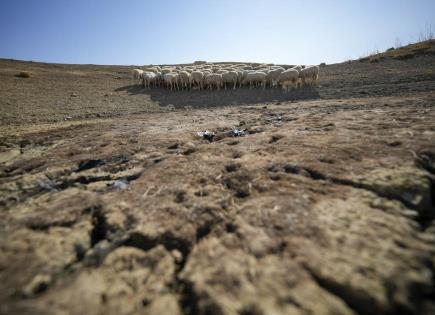 Impacto de la Sequía y Desertificación en el Mundo