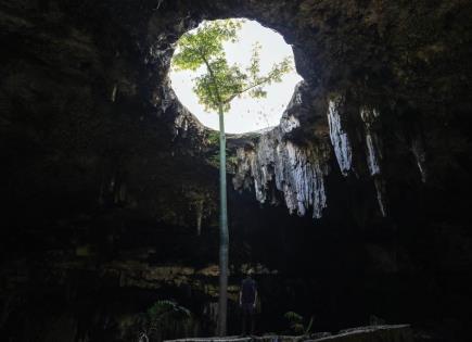 La lucha de los Guardianes por la protección de los cenotes en Yucatán