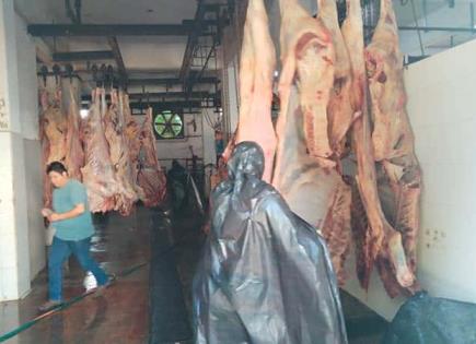 Aumenta matanza en Rastro Municipal