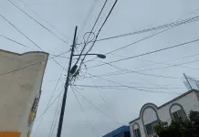 No cumplen empresas con retiro de telara&ntilde;as: Azuara