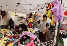 Su&eacute;teres y Trajes Navide&ntilde;os para Mascotas en Toluca