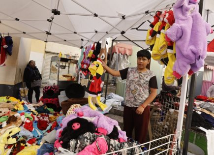 Suéteres y Trajes Navideños para Mascotas en Toluca