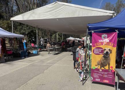 Inicia Festival de Adopción canina y felina en Morales