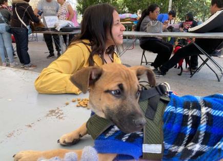 Inicia Festival de Adopción canina y felina en Morales