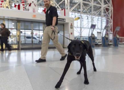 Argo: El Protector de Viajeros en Aeropuertos