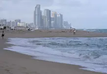 Estudio Cient&iacute;fico sobre Edificios en Costa Sur de Florida