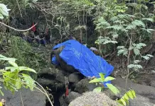 Muerte de elefanta en zoológico de Bali Muerte de elefanta en zoológico de Bali