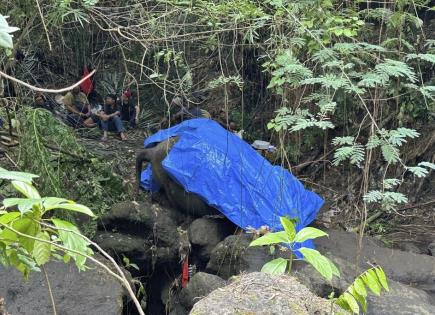 Muerte de elefanta en zoológico de Bali