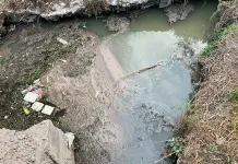 Video | Bloquearán Sierra Leona por aguas negras Video | Bloquearán Sierra Leona por aguas negras
