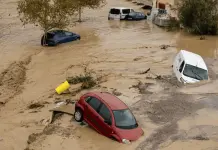 La elección de Dana como palabra del año 2024 La elección de Dana como palabra del año 2024