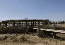 Mejoras en el hábitat de las especies en el Ajolotario Mejoras en el hábitat de las especies en el Ajolotario