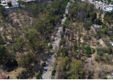 A pesar de amparos, avanza rehabilitaci&oacute;n del Parque de Morales