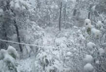 Pronóstico del Clima Invernal en el Estado de México