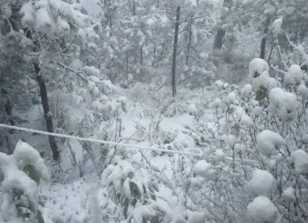 Pronóstico del Clima Invernal en el Estado de México