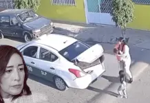 Inicia SCT inhabilitaci&oacute;n de taxista que rob&oacute; regalos navide&ntilde;os