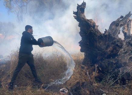 Incendio en avenida Soledad moviliza a vecinos y bomberos (video)