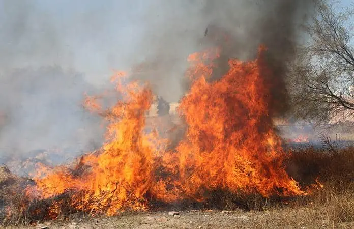 Aumentan los casos de quema de basura en Villa de Pozos: 20 reportes en un mes