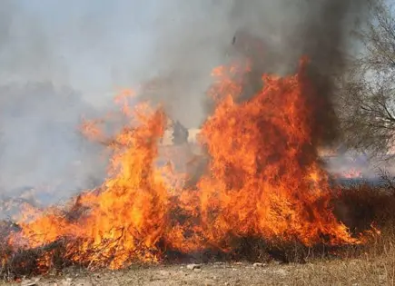 Aumentan los casos de quema de basura en Villa de Pozos: 20 reportes en un mes