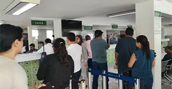 Placas mundialistas, en 500 pesos para autos sin deudas: Sefin