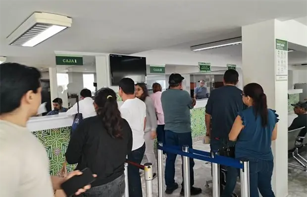 Placas mundialistas, en 500 pesos para autos sin deudas: Sefin Placas mundialistas, en 500 pesos para autos sin deudas: Sefin